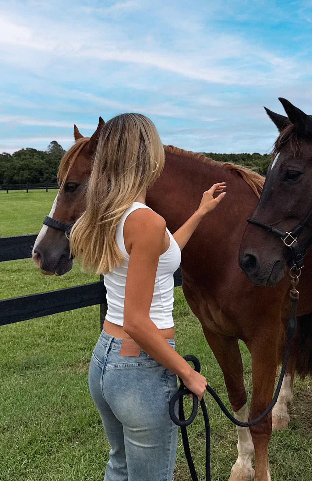 Original Trendsetter Low Rise Flare Jeans Brown Blue